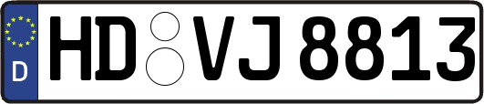 HD-VJ8813