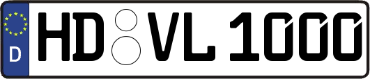 HD-VL1000