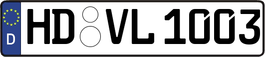 HD-VL1003