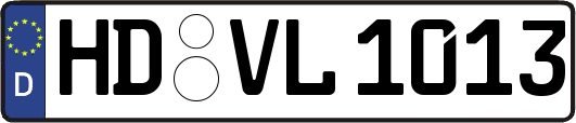 HD-VL1013