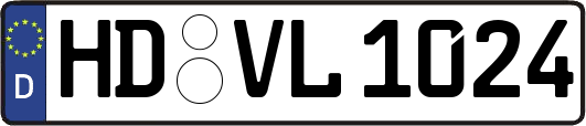 HD-VL1024