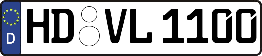 HD-VL1100