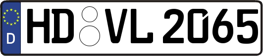 HD-VL2065
