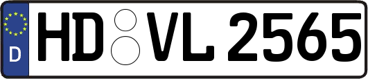 HD-VL2565