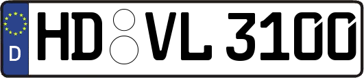 HD-VL3100
