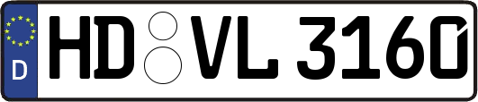 HD-VL3160
