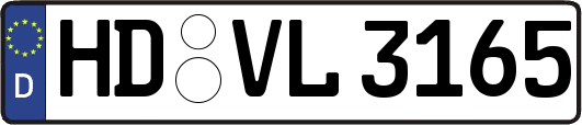 HD-VL3165
