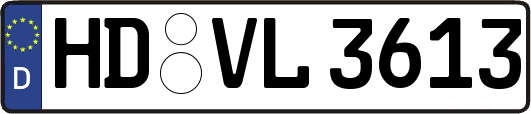 HD-VL3613