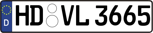 HD-VL3665