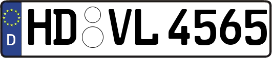 HD-VL4565