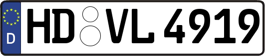 HD-VL4919