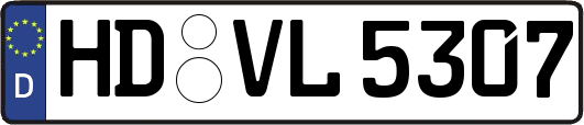 HD-VL5307