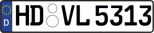 HD-VL5313