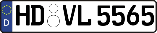 HD-VL5565