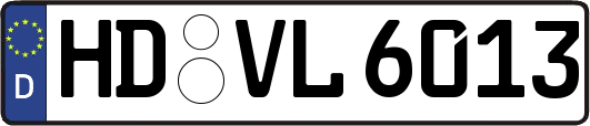 HD-VL6013