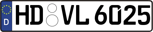 HD-VL6025