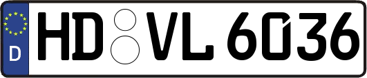 HD-VL6036