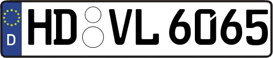 HD-VL6065