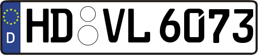 HD-VL6073