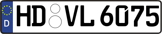 HD-VL6075