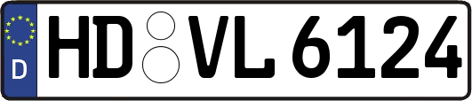 HD-VL6124