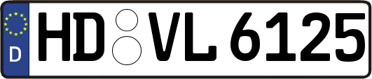 HD-VL6125