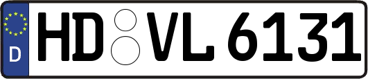 HD-VL6131