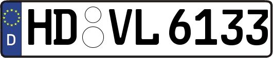 HD-VL6133
