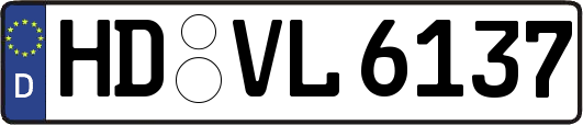 HD-VL6137