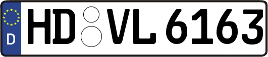HD-VL6163