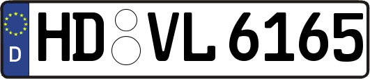HD-VL6165