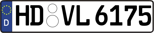 HD-VL6175