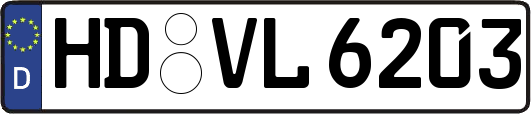 HD-VL6203