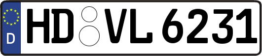 HD-VL6231