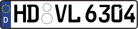 HD-VL6304