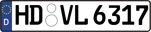 HD-VL6317
