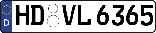 HD-VL6365