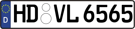 HD-VL6565