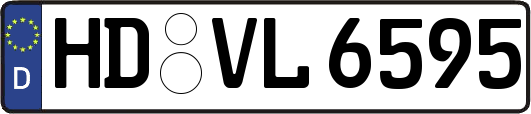 HD-VL6595