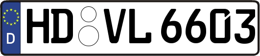 HD-VL6603