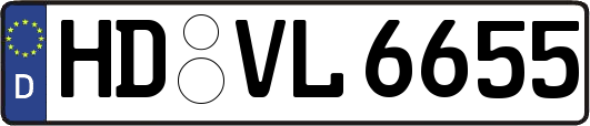 HD-VL6655