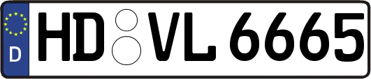 HD-VL6665