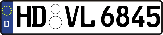 HD-VL6845