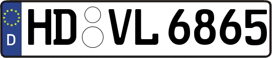 HD-VL6865