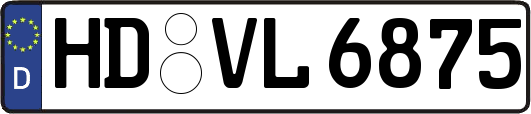 HD-VL6875