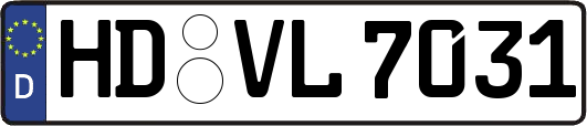 HD-VL7031