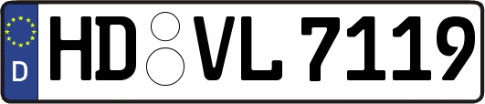 HD-VL7119