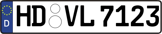 HD-VL7123