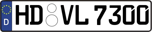 HD-VL7300