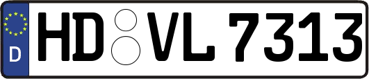 HD-VL7313
